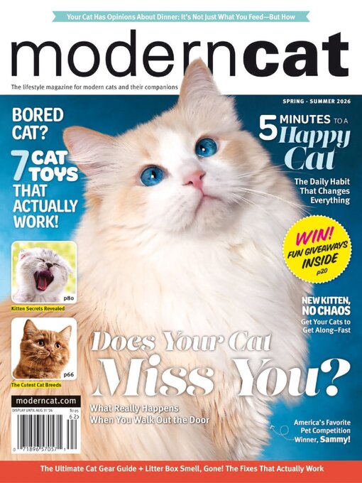Cover image for Modern Cat